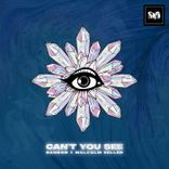 Artwork für "Can't You See"