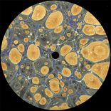 Artwork voor "Violent Rays"