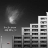 Artwork voor "Lite House"