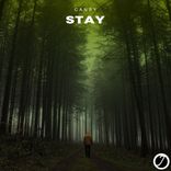 Artwork voor "Stay"