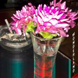 Portada para "Wonderland"