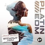 Artwork for "Without You"