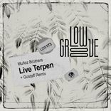 Artwork for "Live Terpen"