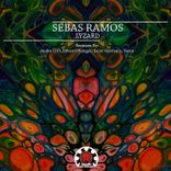 Artwork for "Lyzard"