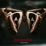 Portada para "Cicada"