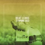 Artwork for "Beat Leaks to Spring 2022"