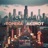 Artwork for "Tomeka : Akemot"