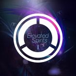 Artwork for "Elevated Spirits I"