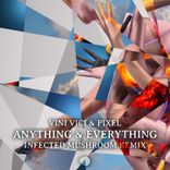 Artwork voor "Anything & Everything (Infected Mushroom Remix)"