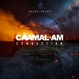 Artwork for "Connection"