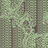 Artwork for "Lucinda"