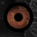 Darkness Has Many Colors