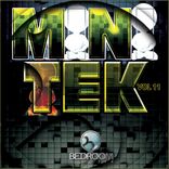Artwork für "Mini Tek Vol 11"