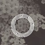 Artwork for "Waterfalls & Toucans"