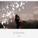 Portada para "In Connection"