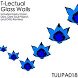 Artwork for "Glass Walls"