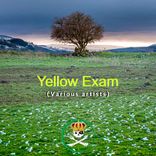 Artwork for "Yellow Exam"