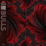 Artwork voor "Bulls"