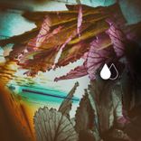 Artwork for "Mayapur Amethyst"