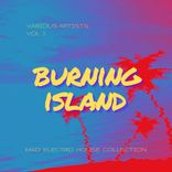 Artwork for "Burning Island (Mad Electro House Collection), Vol. 3"