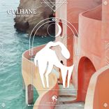 Artwork for "Gulhane"