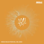 Artwork voor "Redux Selection, Vol. 8 / 2022"