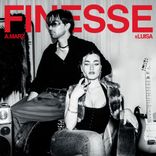 Artwork für "finesse"