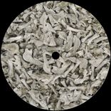 Artwork for "VOY005"