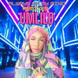 Artwork voor "Always on my mind (The Remixes)"