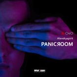 Artwork for "Panic Room"