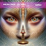 Artwork for "Fly Guru"