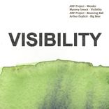 Artwork for "Visibility"