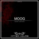 Artwork für "Moog"