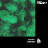 Artwork voor "Sorrowful (Thiago Brey Remixes)"