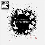 Artwork for "Self-Destruct"