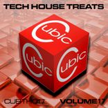 Portada para "Cubic Tech House Treats, Vol. 17"