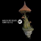 Portada para "Funky as It Is"