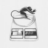 Artwork für "Slush 77"