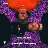 Artwork voor "Check the Wrist"