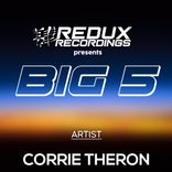Artwork for "Redux Big 5 of Corrie Theron"