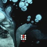 Artwork for "The Boys of Summer 2021"