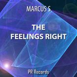 Portada para "The Feelings Right"