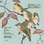 Artwork for "Bekool Brilliants 06"