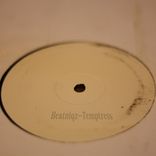 Artwork voor "Temptress"