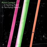 Portada para "A Fleeting Point In Terrifying Beauty"