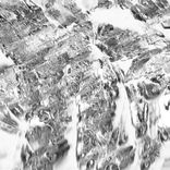 Artwork für "Astronauts on slippers"