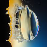 Artwork for "OTT Homeworks"