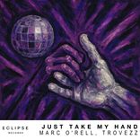 Artwork voor "Just Take My Hand"