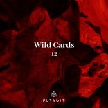 Artwork voor "Wild Cards 12"