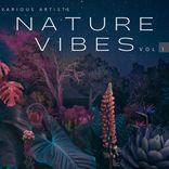 Artwork for "Nature Vibes, Vol. 1"